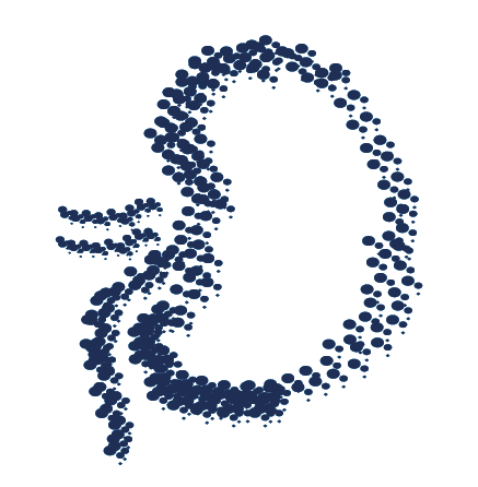 Congreso internacional IMIN 2023